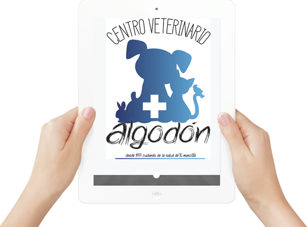 Centro Veterinario Algodón