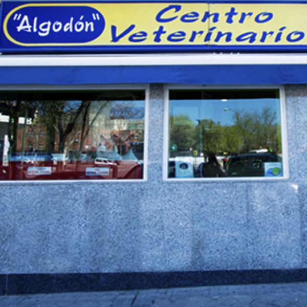 Centro Veterinario Algodón